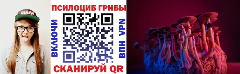 Псилоцибиновые грибы Psilocybine cubensis  мориарти клад  Исилькуль  наркота 